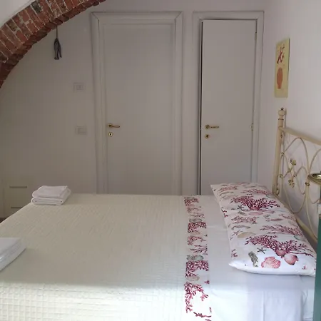 Maraschino レヴァント