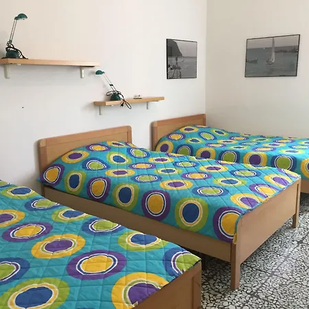 Maraschino 莱万托