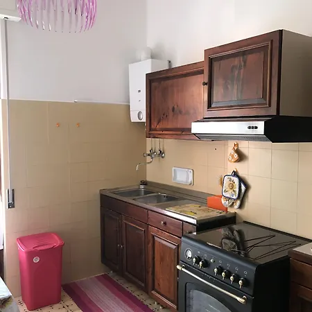 Maraschino 莱万托