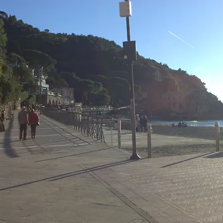 Maraschino 莱万托