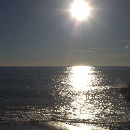 Maraschino 莱万托