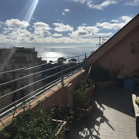 Maraschino * レヴァント