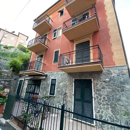 Maraschino * 莱万托