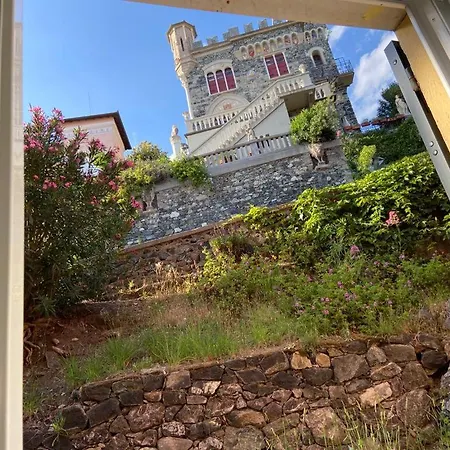 Maraschino レヴァント