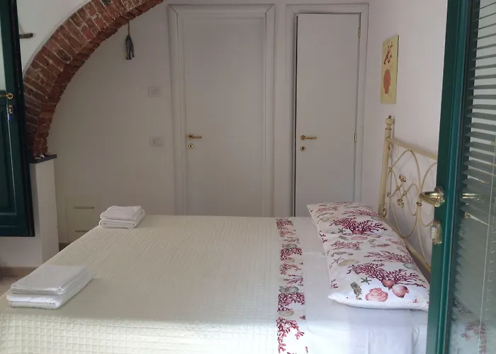 Maraschino 레반토