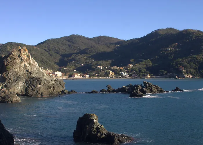 아파트 Maraschino