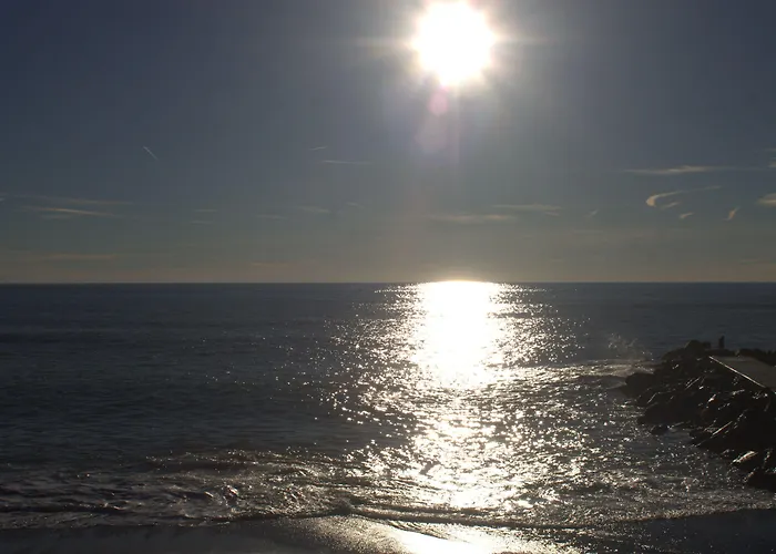 Maraschino 레반토