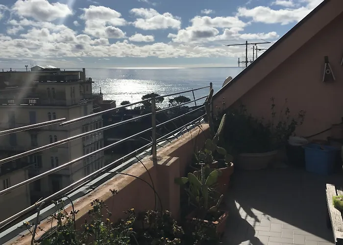 Maraschino * Levanto