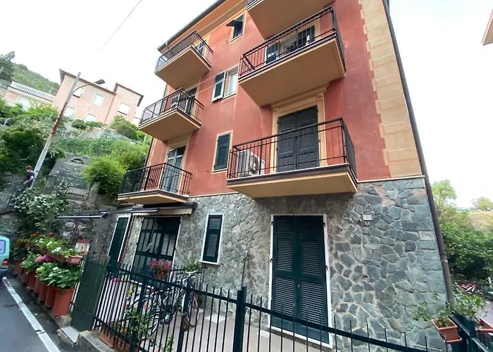 Maraschino * Levanto